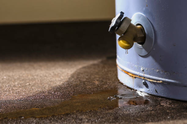 Best Flooded house restoration  in Jesup, IA