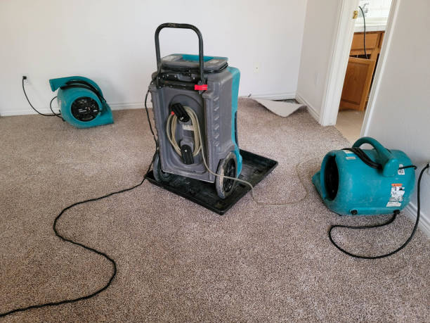 Best Sewage cleanup and water damage restoration  in Jesup, IA