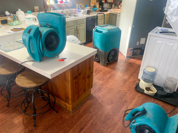 Best Flood damage cleanup  in Jesup, IA