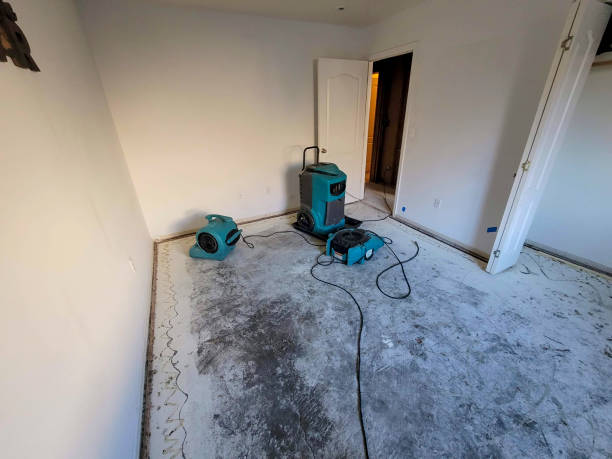 Best Water damage contractors near me  in Jesup, IA