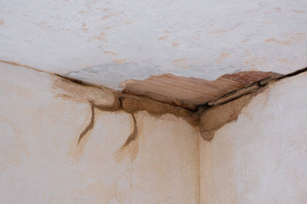 Best Ceiling water damage repair  in Jesup, IA