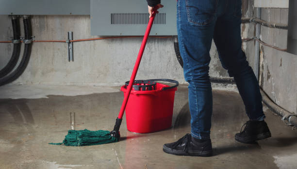 Best Water damage restoration near me  in Jesup, IA
