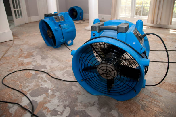 Best Water damage repair service  in Jesup, IA
