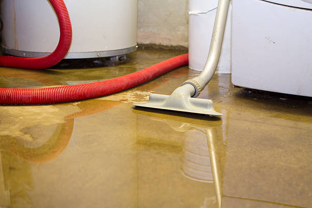 Best Commercial water damage restoration  in Jesup, IA