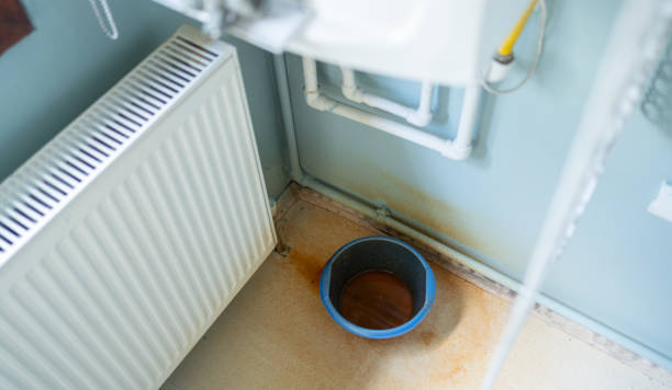 Best Water damage contractors near me  in Jesup, IA