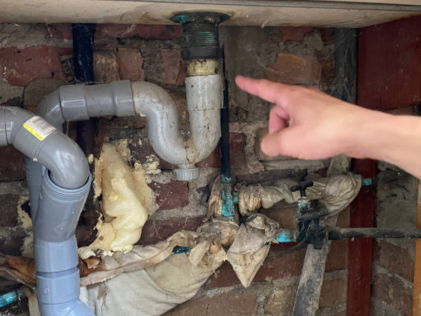 Best Water damage cleanup near me  in Jesup, IA