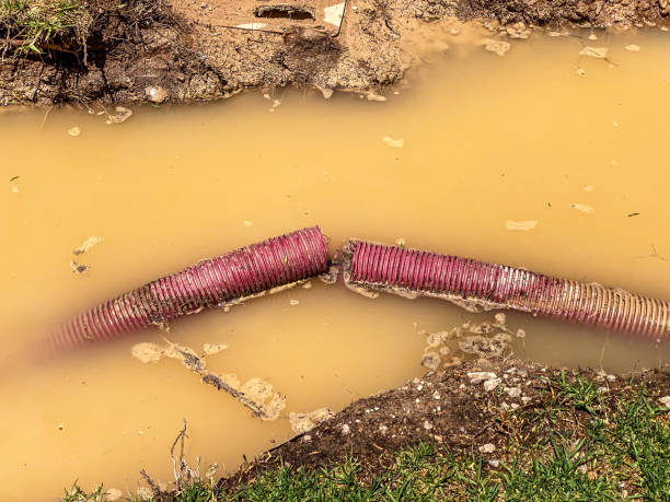 Best Water damage restoration near me  in Jesup, IA