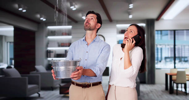 Best Residential water damage restoration  in Jesup, IA